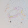 DSCF2535