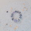 DSCF2545