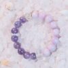 DSCF2526(1)