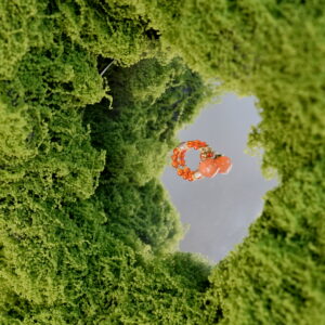 Peach Blessing β Red Agate Ring