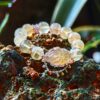IMG_20250826_181710(1)