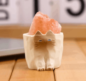 Paw-Paw Cat – Handmade Crystal Desk Pet